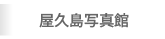 屋久島写真館