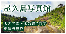 屋久島写真館 太古の森と水の織りなす絶景写真館