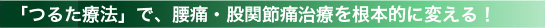 「つるた療法」で、腰痛・股関節痛治療を根本的に変える！